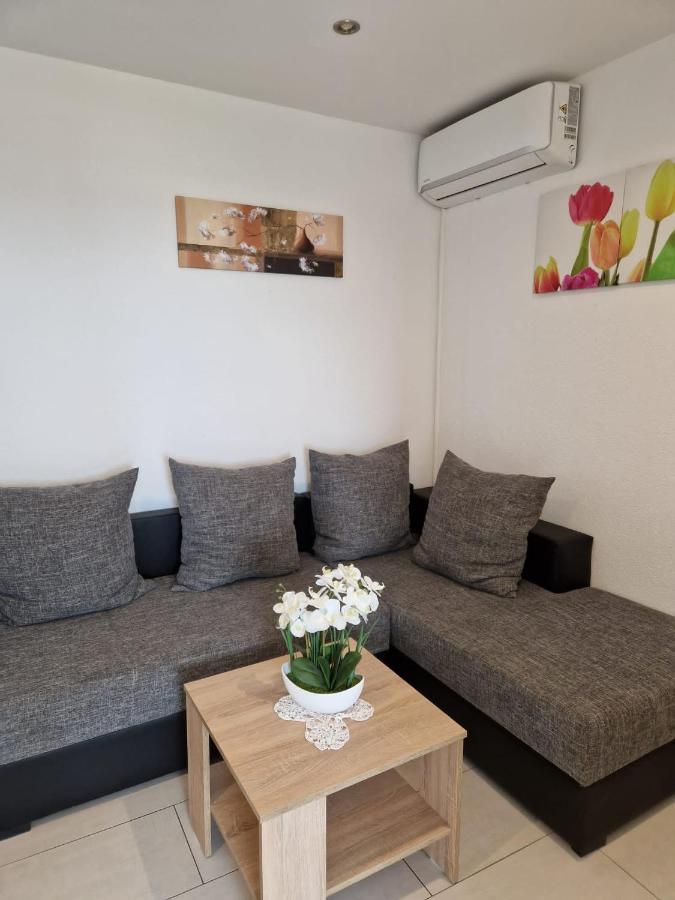 Apartment Vilic بولا المظهر الخارجي الصورة