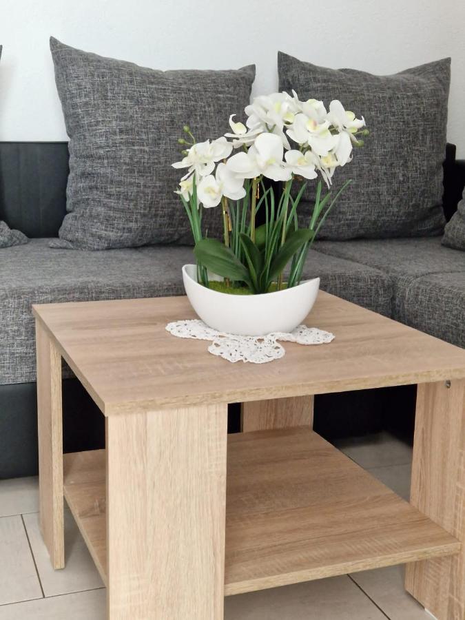 Apartment Vilic بولا المظهر الخارجي الصورة