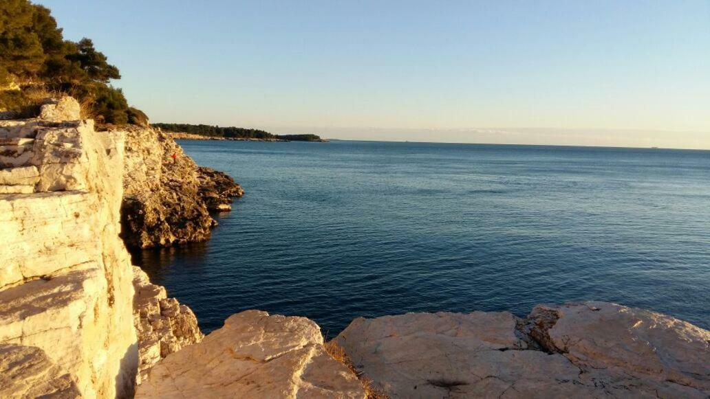 Apartment Vilic بولا المظهر الخارجي الصورة