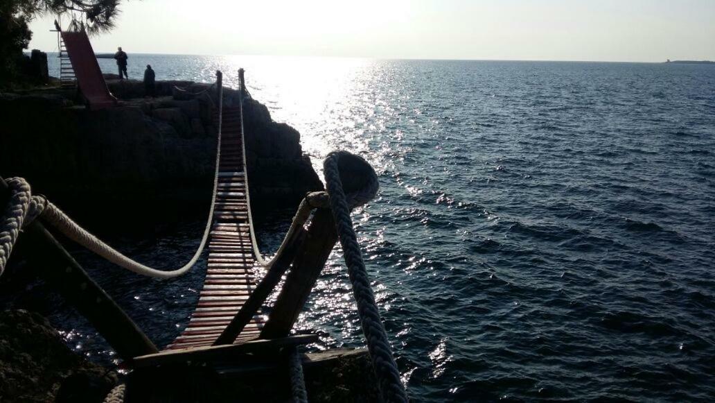Apartment Vilic بولا المظهر الخارجي الصورة